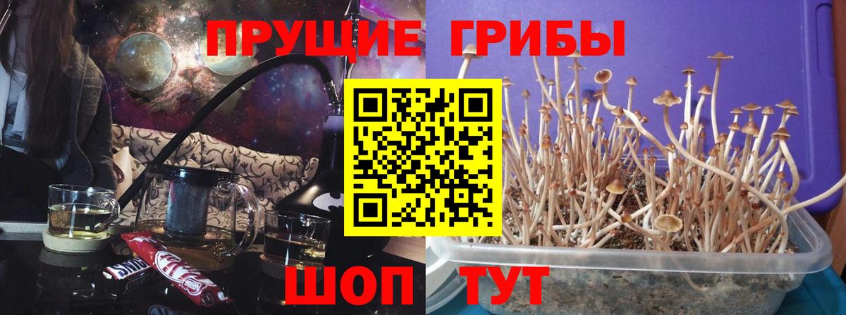 Псилоцибиновые грибы мухоморы Богданович